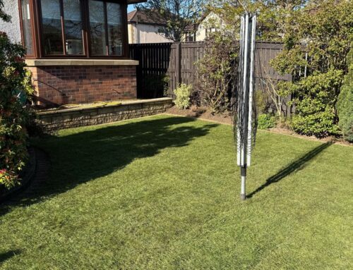 Patrickbank Gardens, Elderslie