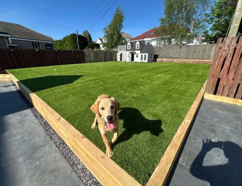 Broom Road East, Newton Mearns