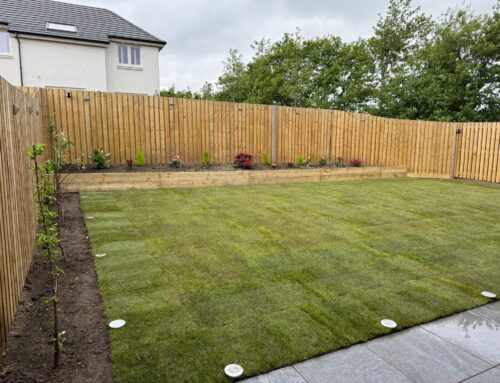 James Young Avenue, Livingston